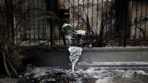 Μάτι: "Υπάρχει ομαδικός τάφος με αταυτοποίητες σορούς και ενδεχομένως έχουν ενταφιαστεί και υπολείμματα ζώων" - εικόνα 2