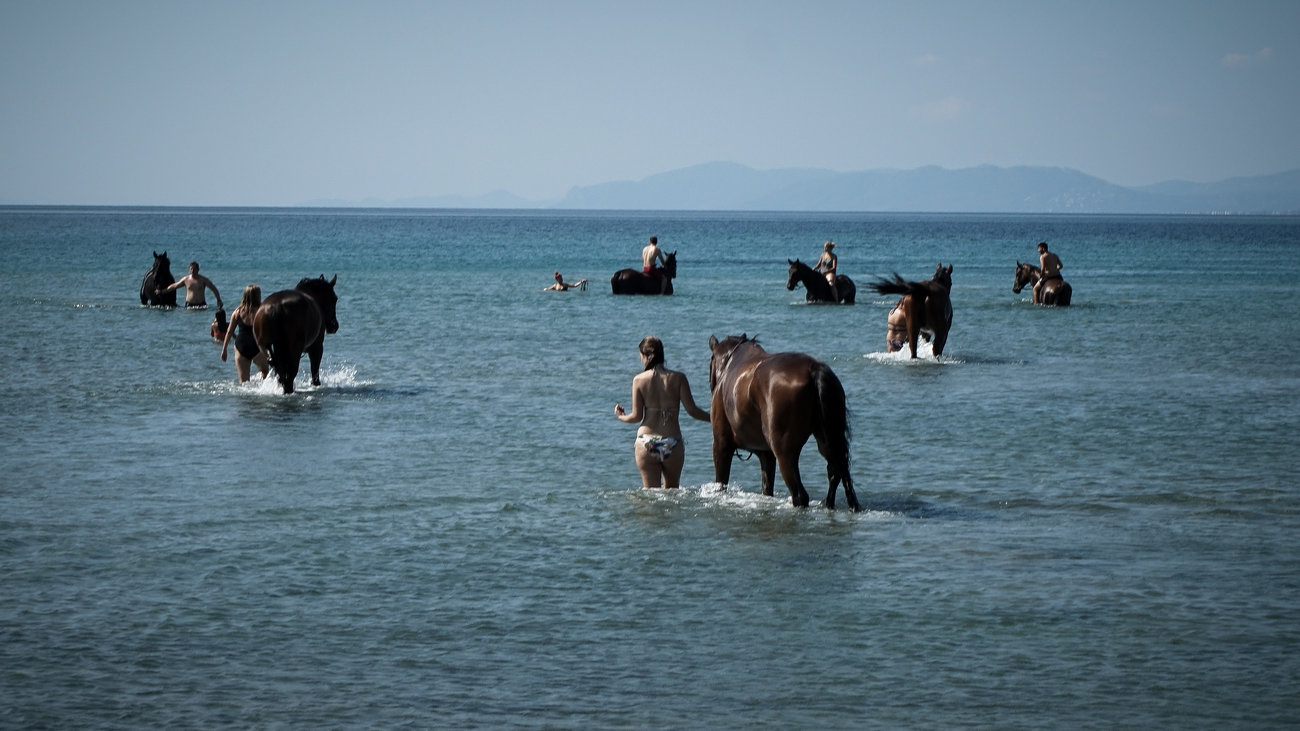 Αυθαίρετα: Πώς τα τροχόσπιτα έγιναν πολυτελείς βίλες μέσα στο Εθνικό Πάρκο του Σχινιά και η Πολεοδομία "κοιμάται"
