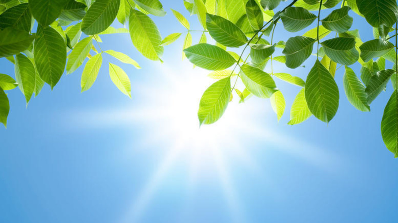 Αλλάζει το σκηνικό του καιρού: Επιστρέφει πάλι η σκόνη με βοριάδες, πτώση της θερμοκρασίας - Και μετά ξανά... 30άρια