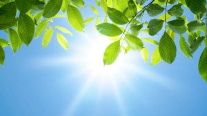 Αλλάζει το σκηνικό του καιρού: Επιστρέφει πάλι η σκόνη με βοριάδες, πτώση της θερμοκρασίας - Και μετά ξανά... 30άρια