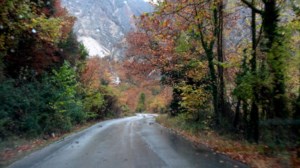 McKinsey: 60 εκατ. εργαζόμενοι στην Ευρώπη κινδυνεύουν με μείωση μισθού ή απόλυση - εικόνα 2