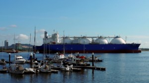 ΟΑΣΕ: Η καταστολή στη Ρωσία πέρασε σε νέο επίπεδο - εικόνα 2