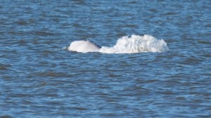 Γαλλία: Άνδρας που κρατούσε μαχαίρι σκοτώθηκε από αστυνομικά πυρά σε αεροδρόμιο του Παρισιού