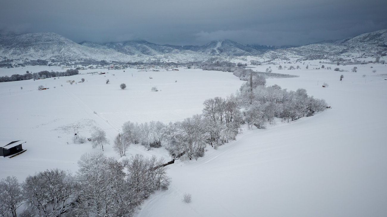 Κακοκαιρία Μήδεια: Ποιος φταίει για τις διακοπές του ρεύματος - Τα σπασμένα κλαδιά, ο ΔΕΔΔΗΕ και οι δήμοι