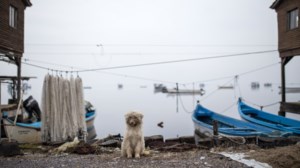 Δεν μας έκανε το χατίρι ο καιρός για την 25η Μαρτίου: Σε ποιες περιοχές θα χιονίσει - Θυελλώδεις άνεμοι και βροχές
