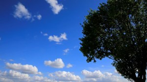 Καιρός - Meteo: Ηλιοφάνεια σε όλη τη χώρα αύριο Κυριακή με λίγες τοπικές νεφώσεις