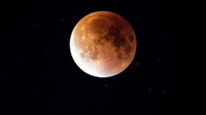 Ινστιτούτο Παστέρ: Ελπιδοφόρα μηνύματα για τα πρώτα εμβόλια το φθινόπωρο - εικόνα 4