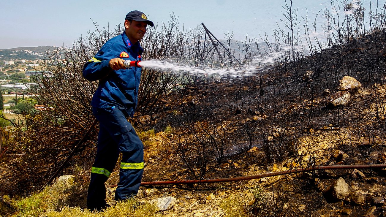 Αιτωλοακαρνανία: Αδιανόητο- Έκοψε ένα τσαμπί σταφύλι και τον "πάτησε" με το αγροτικό