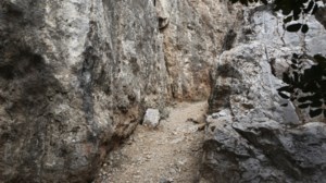 Έγκλημα στου Φιλοπάππου: Συγκινεί η ανάρτηση συγγενή - "Μέρα πόνου η σημερινή για την οικογένειά μου" - εικόνα 2