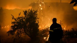 Φωτιές: "Χρυσή" ευκαιρία για τα κυκλώματα - Αγοράζουν καμένα ΙΧ για να "νομιμοποιήσουν" τα κλεμμένα - εικόνα 2