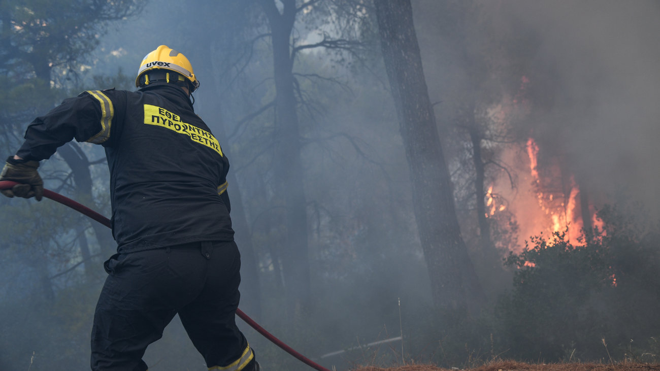 Συναγερμός στην Πυροσβεστική: Φωτιά στην Αμερικανική Γεωργική Σχολή Θεσσαλονίκης [Βίντεο - Εικόνες]