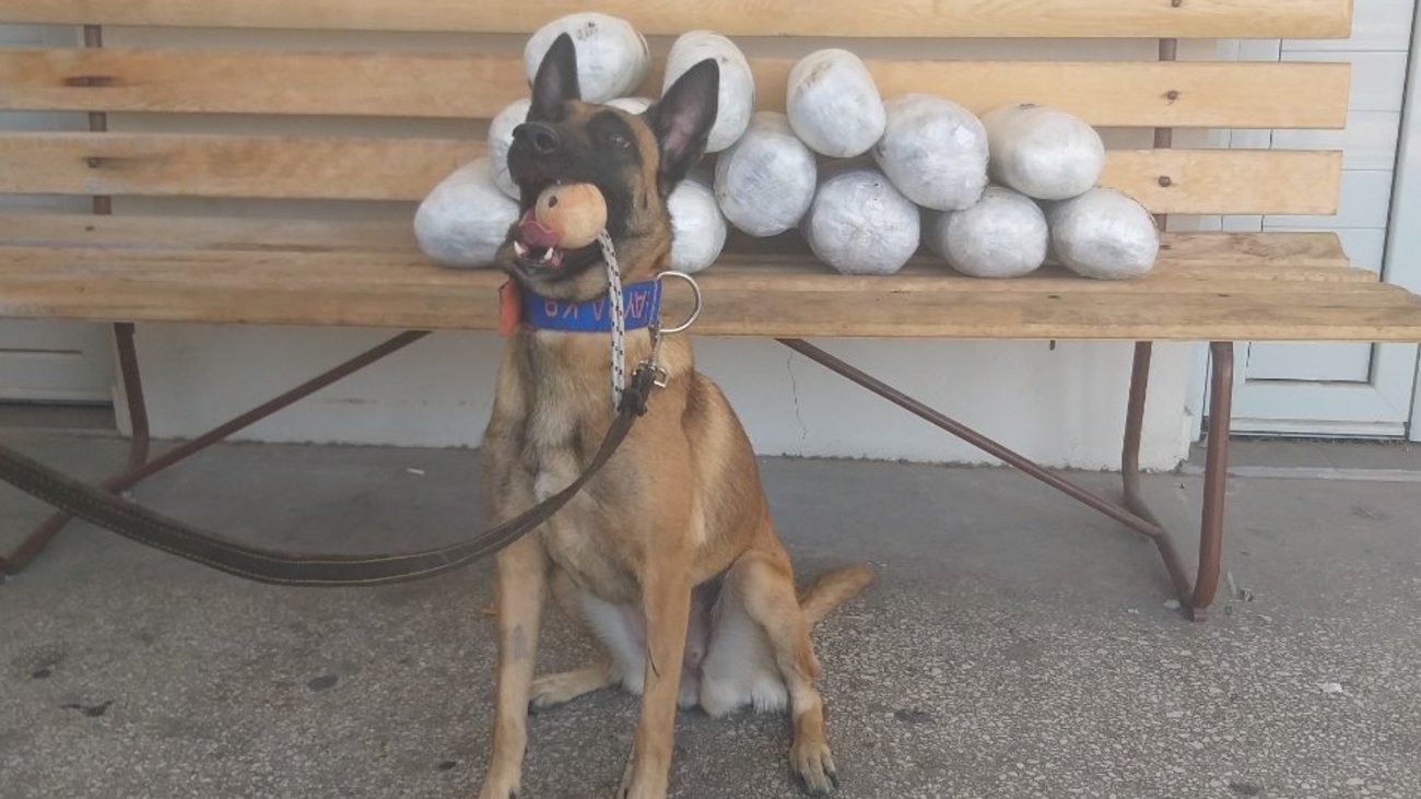 Σπείρα έδινε πλαστά τεστ κορονοϊού και έγγραφα σε αλλοδαπούς στο "Ελ. Βενιζέλος"  [βίντεο] - εικόνα 2