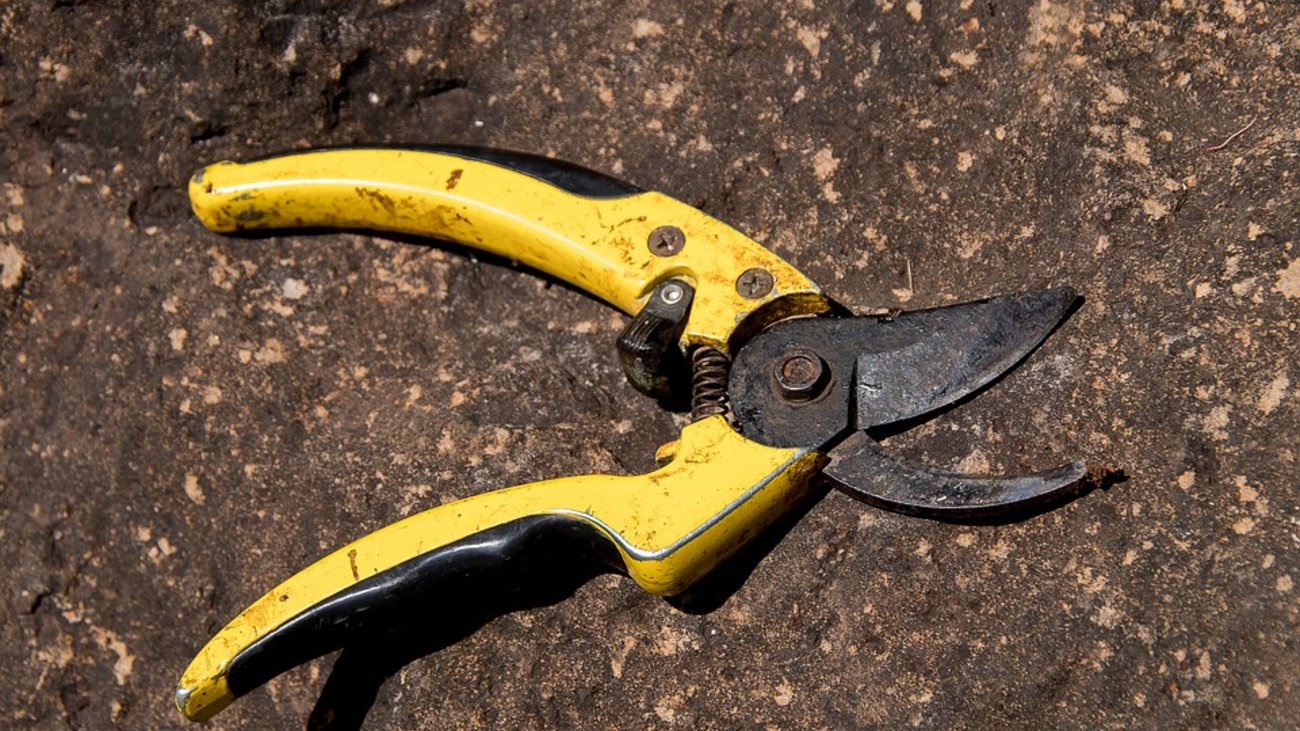 Έφτασε στο έγκλημα: 39χρονη λεχώνα ευνούχισε τον σύζυγό της την ώρα που κοιμόταν επειδή νόμιζε ότι την απατούσε