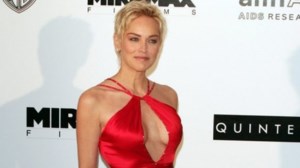 Σάρον Στόουν: Είναι ένα τεράστιο, βλακώδες ψέμα ότι η εμφάνιση δεν μετράει - εικόνα 5