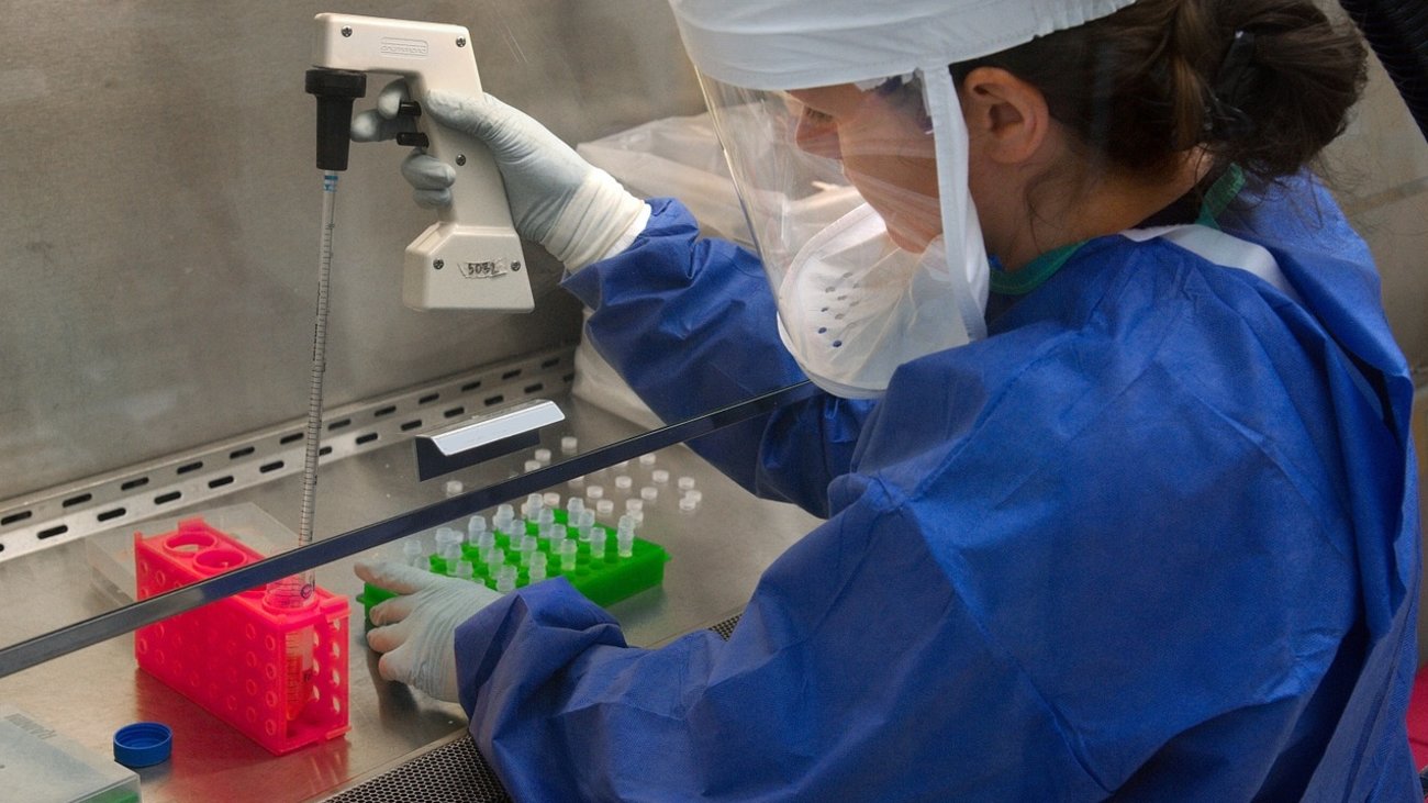 Ιός Δυτικού Νείλου: 75 τα κρούσματα - Σε ποιες περιοχές της χώρας έχουν εντοπιστεί