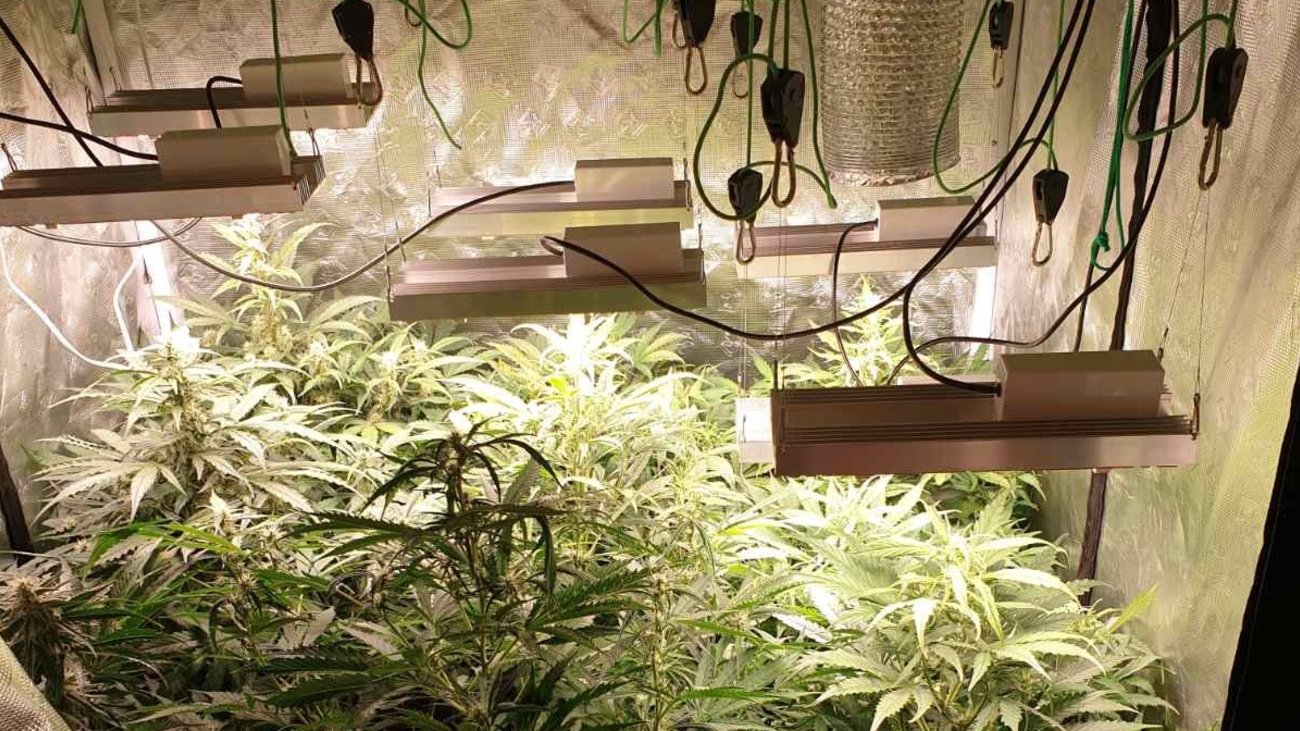 Χανιά: Πατέρας έκανε τη ανήλικη κόρη του "βαποράκι" κοκαΐνης - εικόνα 3