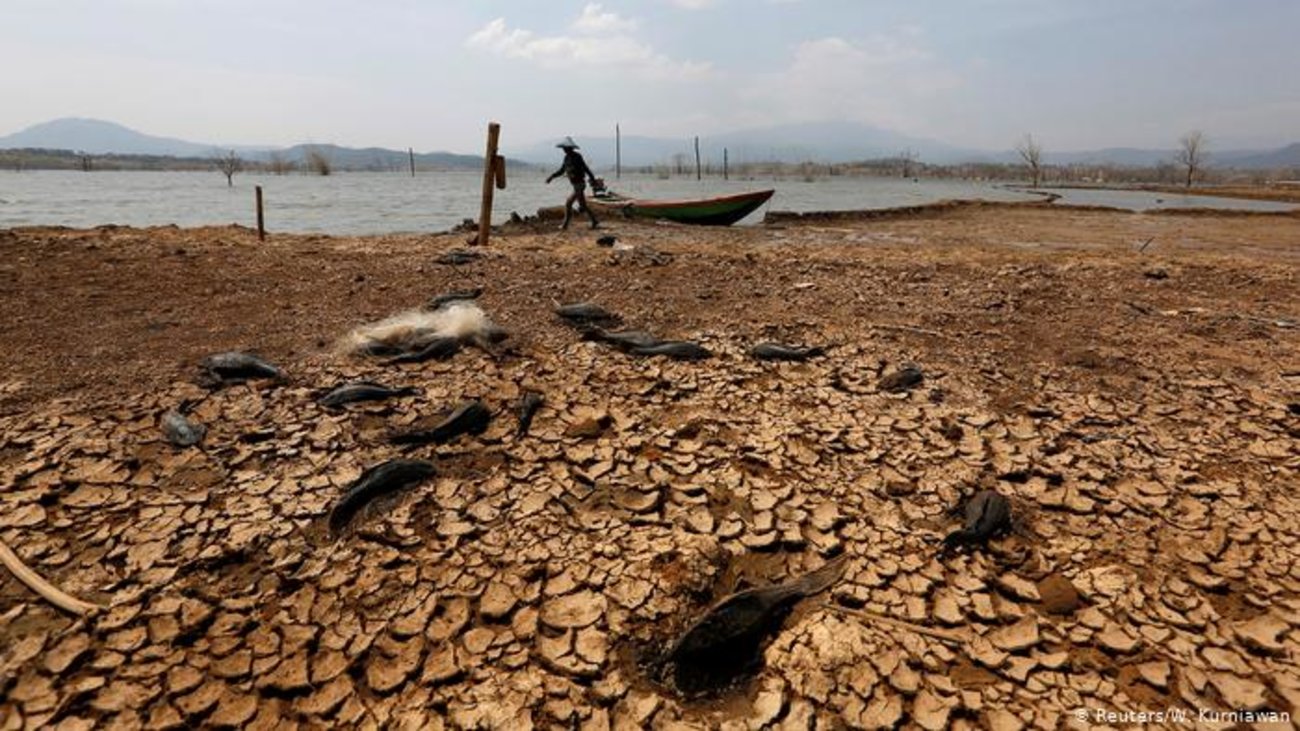 Καύσωνας στην Αυστραλία: Ρεκόρ ζέστης με πάνω από 50 βαθμούς Κελσίου το θερμόμετρο - εικόνα 2