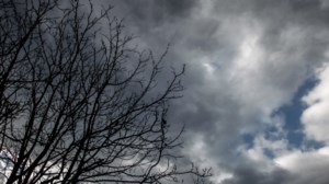 Πέντε προτάσεις βιβλίων ξένων συγγραφέων για την Πρωτοχρονιά - εικόνα 2