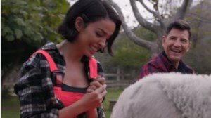 Πέθανε το σκυλάκι της Ελένη Φουρέιρα: "Πονάει η καρδιά μου…" - εικόνα 2