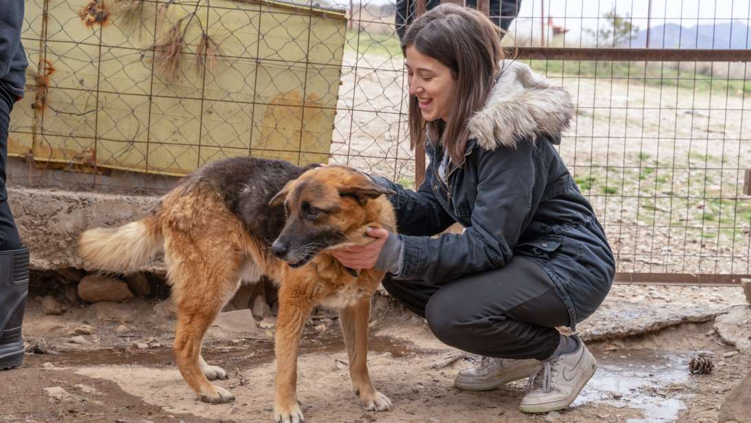 Σταδιακά, σταθερά, μαζί: Τέσσερις ιστορίες που δείχνουν πώς αλλάζει ο κόσμος