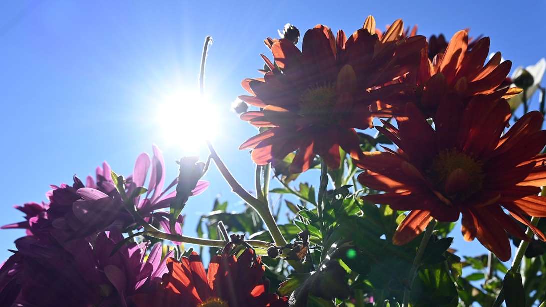 Ανοιξιάτικος ο καιρός παρότι τέλη φθινόπωρου - Πότε έρχεται η αλλαγή του σκηνικού με βροχές και κρύο