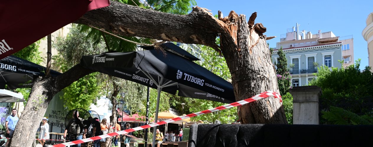 Αυτόπτης μάρτυρας για πτώση δέντρου: &quot;Πήραν αιμόφυρτη τη γυναίκα&quot; - &quot;Οφείλεται στους ισχυρούς ανέμους&quot;, λέει ο δήμος Αθηναίων