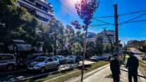 Η αναγκαιότητα των δέντρων της Αθήνας και οι προκλήσεις που αντιμετωπίζουν: "Θυσιάζονται στο όνομα των αναπλάσεων"
