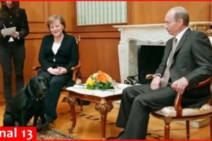 Η Μέρκελ επιμένει για τον Πούτιν και το λαμπραντόρ του το 2007: "Ήταν επίδειξη δύναμης, ήξερε ότι φοβάμαι τα σκυλιά"