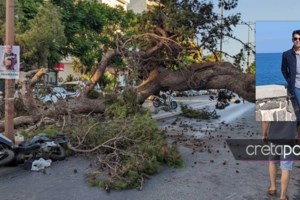 Ανατριχιαστική αποκάλυψη για τον νεκρό μοτοσικλετιστή στο Ηράκλειο: Του φώναζαν ότι πέφτει το δέντρο αλλά δεν τους άκουγε - εικόνα 2
