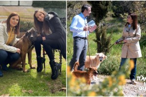 Τέλος τα "Πλάνα με ουρά" στην ΕΡΤ: Τα "καρφιά" της Τασούλας Επτακοίλη και η άμεση απάντηση της Λίνας Παπαδάκη