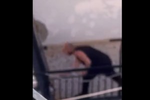 Πληρωμένη απάντηση της Σταματάκου στον 38χρονο που κακοποιούσε σκυλιά -  "Μου στέλνει υβριστικά και απειλητικά μηνύματα"