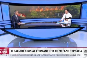 Αυτοψίες στα καμένα της Αττικής: 78 ακατάλληλες προς χρήση κατοικίες από τις 112- Οι αποζημιώσεις στις επιχειρήσεις - εικόνα 6