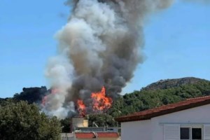 Καταδικάστηκε για φωτιά σε αλσύλλιο στην Αθήνα - Στη φυλακή για έναν χρόνο και πρόστιμο 11.500 ευρώ