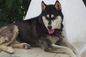 Τριήμερο Καθαράς Δευτέρας: 78.631 οχήματα έφυγαν σήμερα από την Αττική