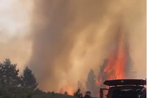 Σε εξέλιξη η πυρκαγιά στα Πιέρια Όρη - Οι έντονες κλίσεις και η πλούσια φυτοκάλυψη της περιοχής δυσκολεύουν την κατάσβεση - εικόνα 4