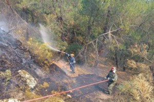 Φωτιά στον Έβρο: Καίγεται για τρίτη ημέρα το δάσος της Δαδιάς - Πύρινη κόλαση από τις συνεχείς αναζωπυρώσεις - εικόνα 5