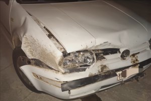 Λάρισα: Επιδρομή αγριογούρουνων σε παράλιο χωριό - Καθημερινές "επιδρομές" σε σπίτια [εικόνα]