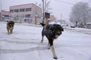 Κακοκαιρία Barbara: Προβλήματα σε όλη τη χώρα – Ποιοι δρόμοι είναι κλειστοί στην επικράτεια