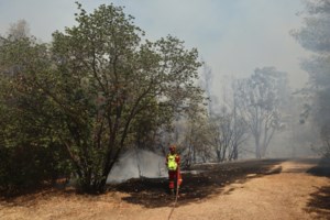 Στις φλόγες τυλίχθηκε τουριστικό λεωφορείο με 50 επιβάτες στην Κέρκυρα