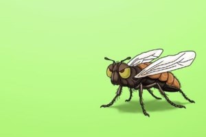 Αρκάς: Η ξεχωριστή καλημέρα με μια χρήσιμη συμβουλή για την εμπιστοσύνη στους ανθρώπους [Εικόνα]