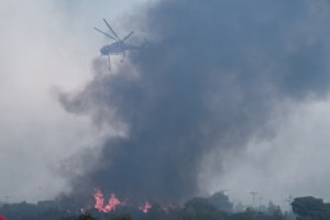 Κικίλιας: Κρίσιμη η κατάσταση στην Πάρνηθα - Το χειρότερο καλοκαίρι από τότε που συλλέγονται μετεωρολογικά δεδομένα