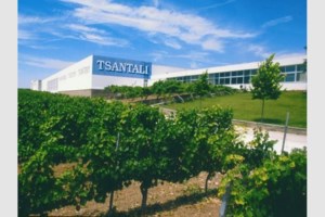 Αίτηση πτώχευσης κατέθεσε η οινοποιεία Τσάνταλης- Τίτλοι τέλους μετά από 134 χρόνια, στον δρόμο οι εργαζόμενοι