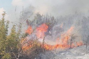 Τραγωδία στο Σουφλί: Νεκροί δύο ηλικιωμένοι μετά από πυρκαγιά σε μονοκατοικία - Πήρε φωτιά η ξυλόσομπα [βίντεο]