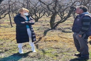 Ψήφος αποδήμων: Αμηχανία στον ΣΥΡΙΖΑ για τη "γκάφα Τζάκρη"- Μαζεύουν τη δήλωσή της - εικόνα 3