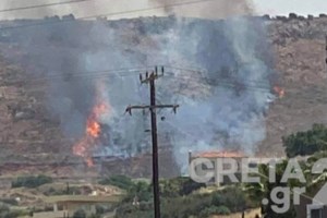 Κοζάνη: Ξεκίνησε η δίκη για το θάνατο του 5χρονου από επίθεση ροτβάιλερ - Ανατριχιαστικές καταθέσεις των γιατρών [Βίντεο] - εικόνα 2