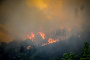 Καπανδρίτι: Εισβολή ληστών με αμάξι σε βενζινάδικο - Έκλεψαν χρηματοκιβώτιο