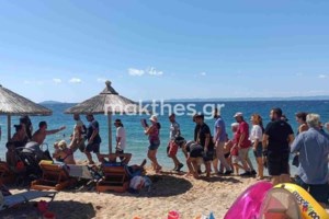 ΣΥΡΙΖΑ: Ερώτηση 24 βουλευτών για "λήψη μέτρων ενάντια στην ασύδοτη καταπάτηση του αιγιαλού" - εικόνα 2