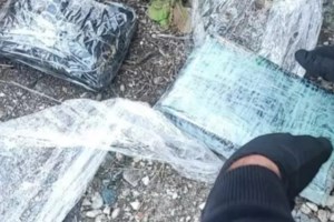 Θεσσαλονίκη: Διακινούσαν ναρκωτικά μέσα σε λούτρινα κουκλάκια - Καταδικάστηκαν φοιτήτρια και 35χρονος