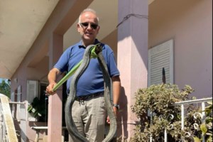 Formula 1: Η στιγμή που ο Φερστάπεν βλέπει μια μεγάλη σαύρα στην πίστα της Σιγκαπούρης [Βίντεο]