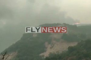 Σε πύρινο κλοιό η Ελλάδα: Αναζωπυρώσεις σε Μεσσηνία και Ρόδο - Νέες φωτιές σε Λακωνία και Λίμνη Ευβοίας - εικόνα 6